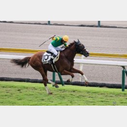 前々走でオープン勝ち