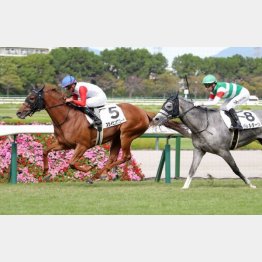 前走で２勝クラスを卒業