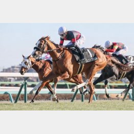 菜の花賞を快勝