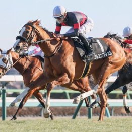 【東京本紙・外山の土曜東京12Ｒ】