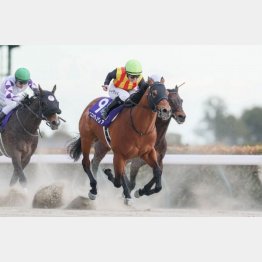 東京全勝の中にはＧⅠ勝ちも