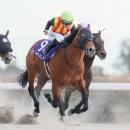 【東京本紙・外山の武蔵野Ｓ】