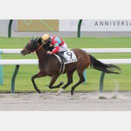 前走勝ちが優秀