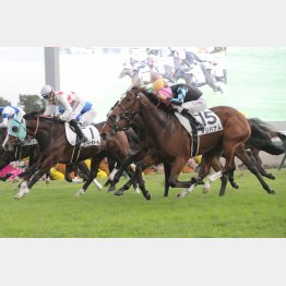 前走②着は負けて強し