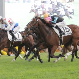 【大阪本紙・弘中の土曜京都12Ｒ】