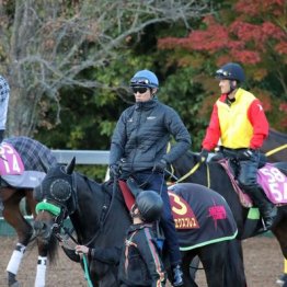 【エリザベス女王杯】出走全馬の特選情報