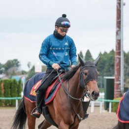 【エリザベス女王杯】出走全馬の特選情報