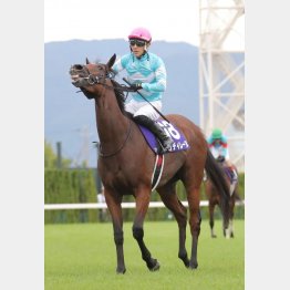 再度、パラディレーヌを狙い撃つ