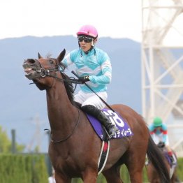 【市川の日曜競馬コラム・エリザベス女王杯】