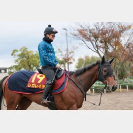 一歩踏み込んだ仕上げで臨む