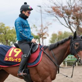 【新居の日曜競馬コラム・エリザベス女王杯】