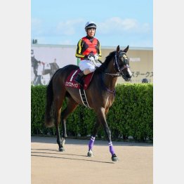 持ち味が生きなかった前走から巻き返す