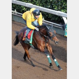 攻め気配もいい