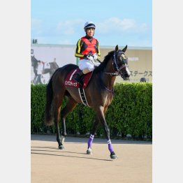 中距離戦がベスト舞台