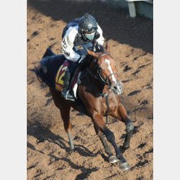 相手本線はパラディレーヌ