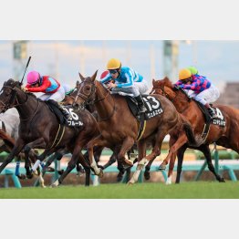 昨暮の中山を勝ってオープン入り