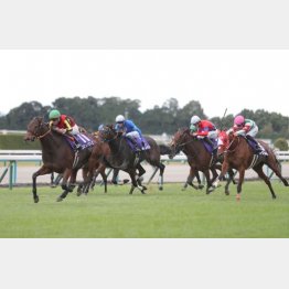 昨24年は３→12→２番人気で決着