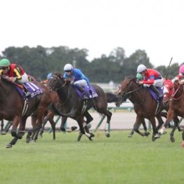 【注目重賞／データで買う・エリザベス女王杯】