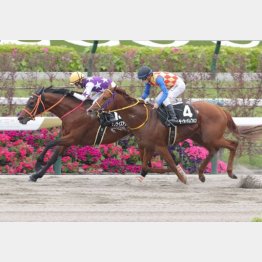 平城京Ｓを逃げ切り
