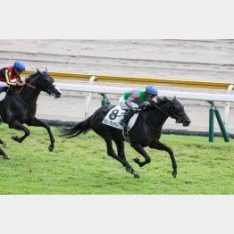 この未勝利勝ちから昇級戦の前走も②着