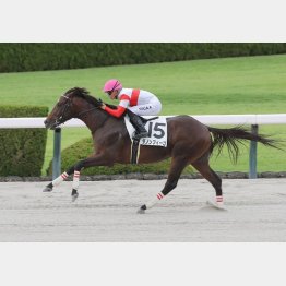 まだまだ上を目指せる逸材