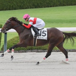 【東京本紙・外山の日曜東京９Ｒ】