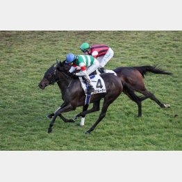 現級で③着実績のある馬が復活する