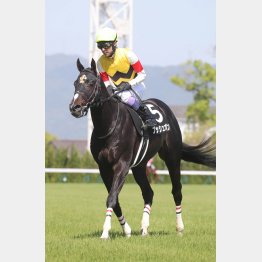 勝羽はプッシュオン推し