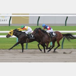 前走はゴール前で逆転Ｖ