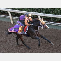 軽快に登坂して好仕上がり