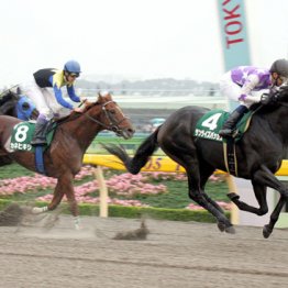 ２００５年武蔵野Ｓ制覇サンライズバッカス