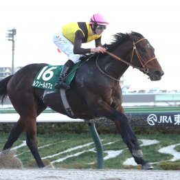 関西圏初勝利レガレイラが京都外回りで完勝の理由