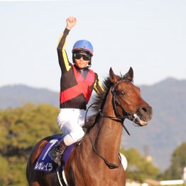 関西圏初勝利レガレイラが京都外回りで完勝の理由