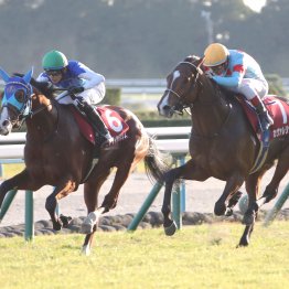 関西圏初勝利レガレイラが京都外回りで完勝の理由