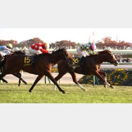 首差しのいでゴール