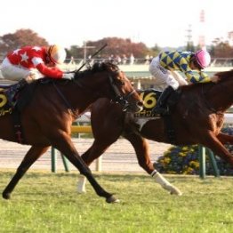 【オーロＣ】フォーチュンタイム１番人気に応えてＶ