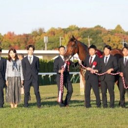 【エリザベス女王杯】秋ＧⅠ５連勝　止まらない関東馬攻勢の要因は！？