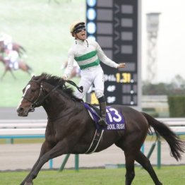 【マイルＣＳ】ジャンタルマンタル、ソウルラッシュなど実力馬が集結