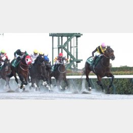 ３馬身半差の快勝