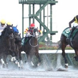 ルクソールカフェは来年の最有力馬か