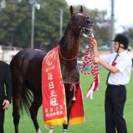 【マイルＣＳ】レーベンスティール初ＧⅠ制覇へ