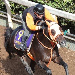 【マイルＣＳ】ジャンタルマンタル秋も勝つ