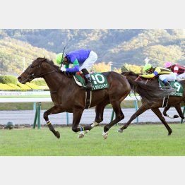 19年は５枠のワン・ツー