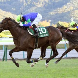 【福島記念】内枠が優勢で６枠より外は２５連敗中