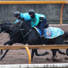 【マイルＣＳ】調教マル得チェック②