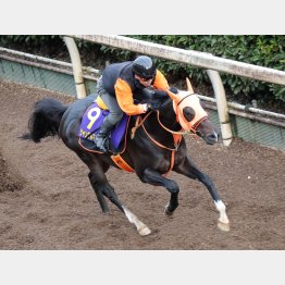 春秋制覇へ万全の仕上げ