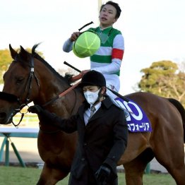 〈117〉ウインカーネリアンでＧⅠスプリンターズＳを制した鹿戸雄一調教師（３）