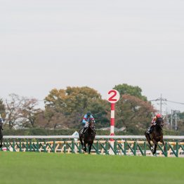 来年から２歳重賞の賞金増額で問われる１勝クラス、オープン特別の存在意義