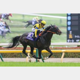 安田記念でGⅠ３勝目