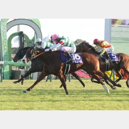 23年は５番人気ナミュールが富士Ｓから連勝